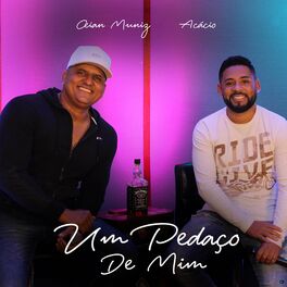 Album cover of Um Pedaço de Mim