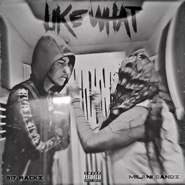 Album cover of Like What (feat. 917 Rackz)