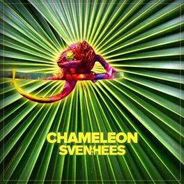 Album cover of Chameleon
