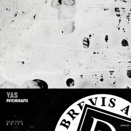 Album cover of Psychenauts LP