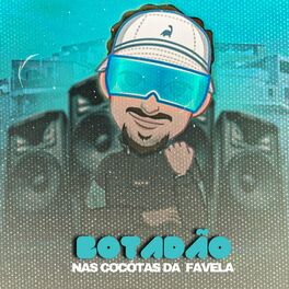 Album cover of Botadão nas Cocótas da Favela