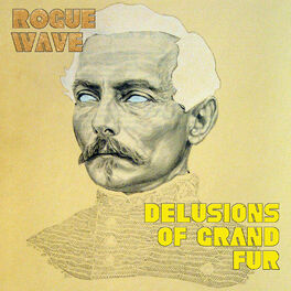 Album cover of Delusions of Grand Fur