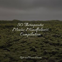 Album cover of 50 Therapeutic Music Mindfulness Compilation