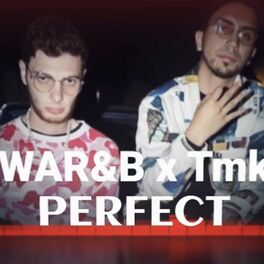 Album cover of PERFECT (feat. TMK)