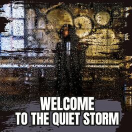 Album cover of Welcome To The Quiet Storm
