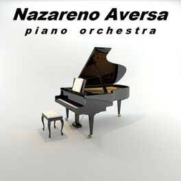 Album cover of Piano Orchestra