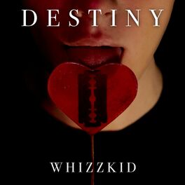 Album cover of Whizzkid