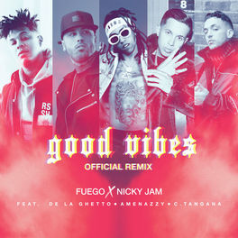 Album cover of Good Vibes (Official Remix)