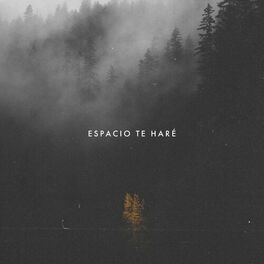 Album cover of Espacio Te Haré