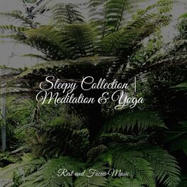 Album cover of Sleepy Collection | Meditation & Yoga