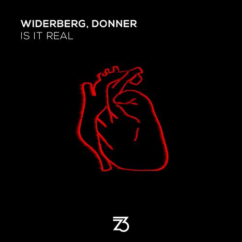 widerberg & Donner - Is It Real (2023) MP3