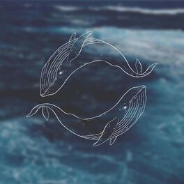 Album cover of Киты