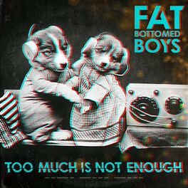Album cover of Too Much Is Not Enough
