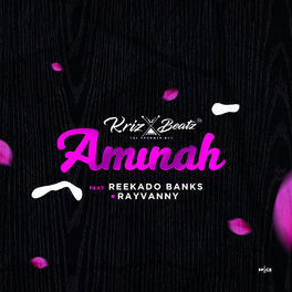 Album cover of Aminah