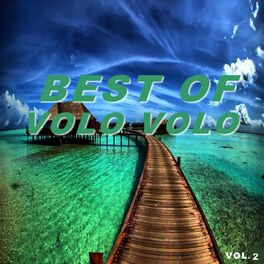 Album cover of Best of volo volo (Vol.2)