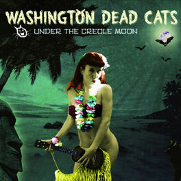 Album cover of Under the Creole Moon
