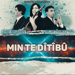 Album cover of MIN TE DÎTÎBU