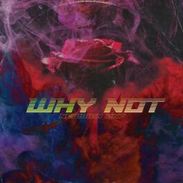 Album cover of WHY NOT
