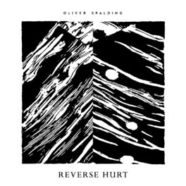 Album cover of Reverse Hurt