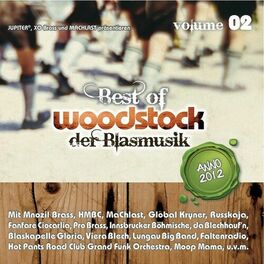 Album cover of Best of Woodstock der Blasmusik Vol. 2