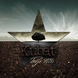 Album cover of Proje 2015