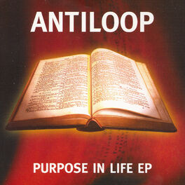 Album cover of Purpose In Life