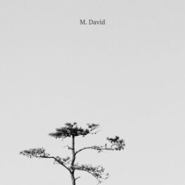 Album cover of Motion Flow