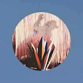 Album cover of Human