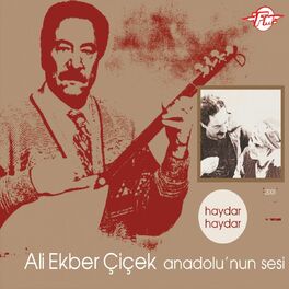 Album cover of Anadolu'nun Sesi (Haydar Haydar)