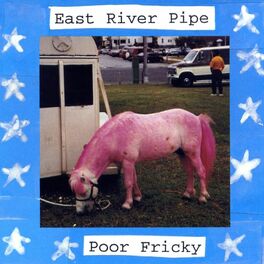Album cover of Poor Fricky