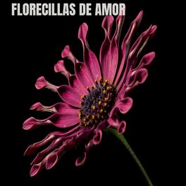 Album cover of Florecillas de amor