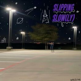 Album cover of Slipping Slow(ly)