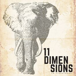 Album cover of 11 Dimensions