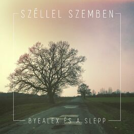 Album cover of Széllel szemben