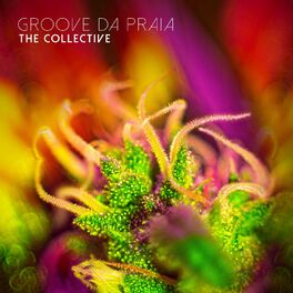 Album cover of The Collective