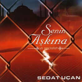 Album cover of Senin Aşkına