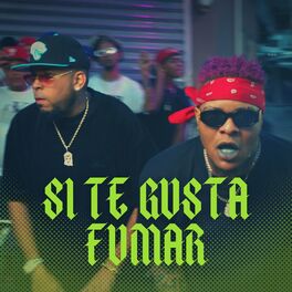 Album cover of Si Te Gusta Fumar