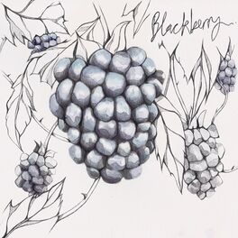 Album cover of Blackberry