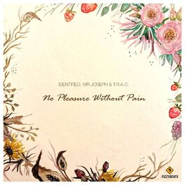 Album cover of No Pleasure Without Pain
