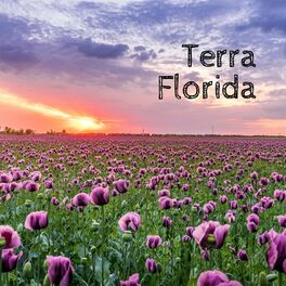 Album cover of Terra Florida