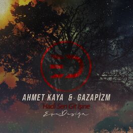 Album cover of Hadi Sen Git İşine