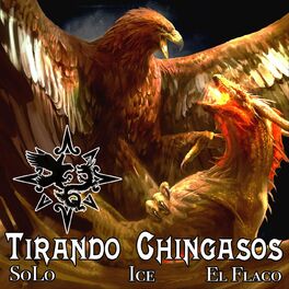 Album cover of Tirando Chingasos