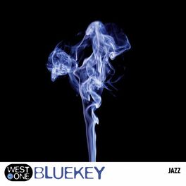 Album cover of Bluekey