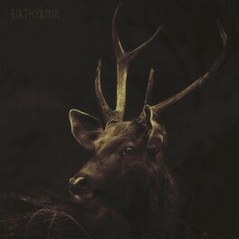 Album cover of Eikthyrnir