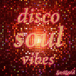 Album cover of Disco Soul Vibes