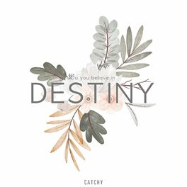 Album cover of Do you believe in destiny