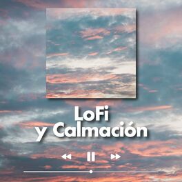 Album cover of LoFi y Calmación