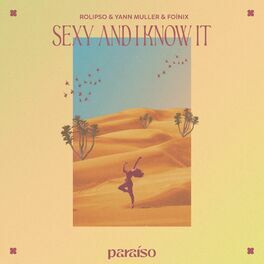 Album cover of Sexy And I Know It