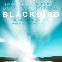 Album cover of Blackbird (feat. Tapani Rinne, Konsta Mikkonen & Richard Stanley)