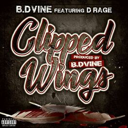 Album cover of Clipped Wings (feat. D-Rage)